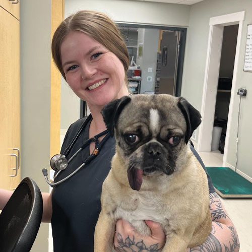 veterinarian holding dog and smiling at camera