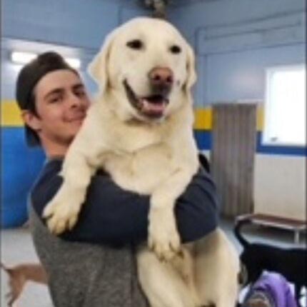 Austin holding a white lab