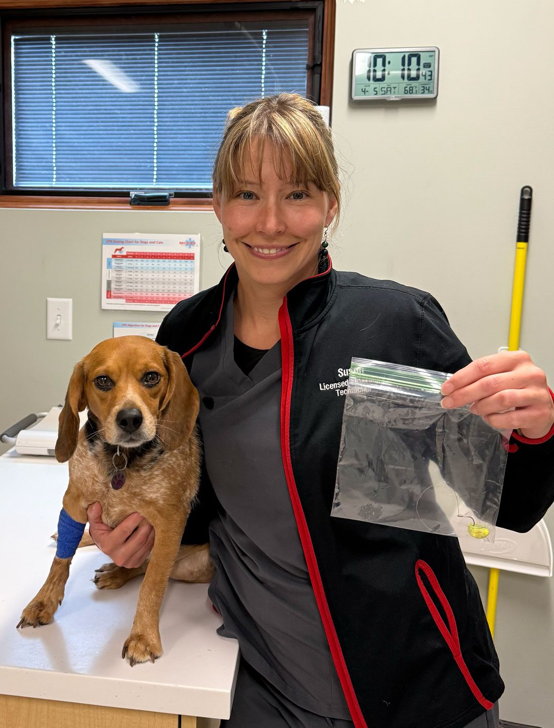 veterinary technician holding bag with fish hook that dog had swallowed