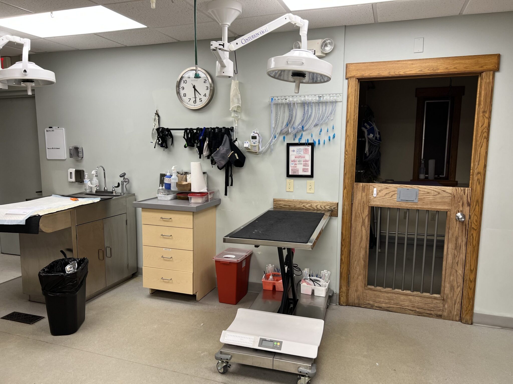 triage table treatment room at bay area pet hospital