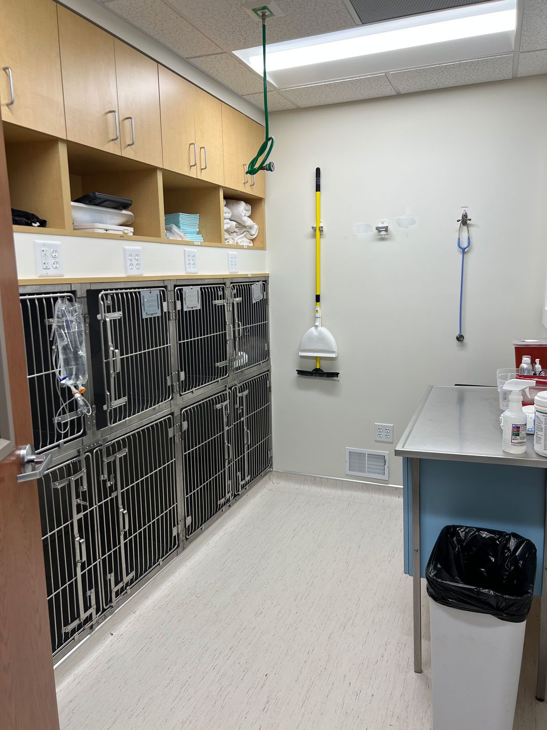 isolation ward at bay area pet hospital