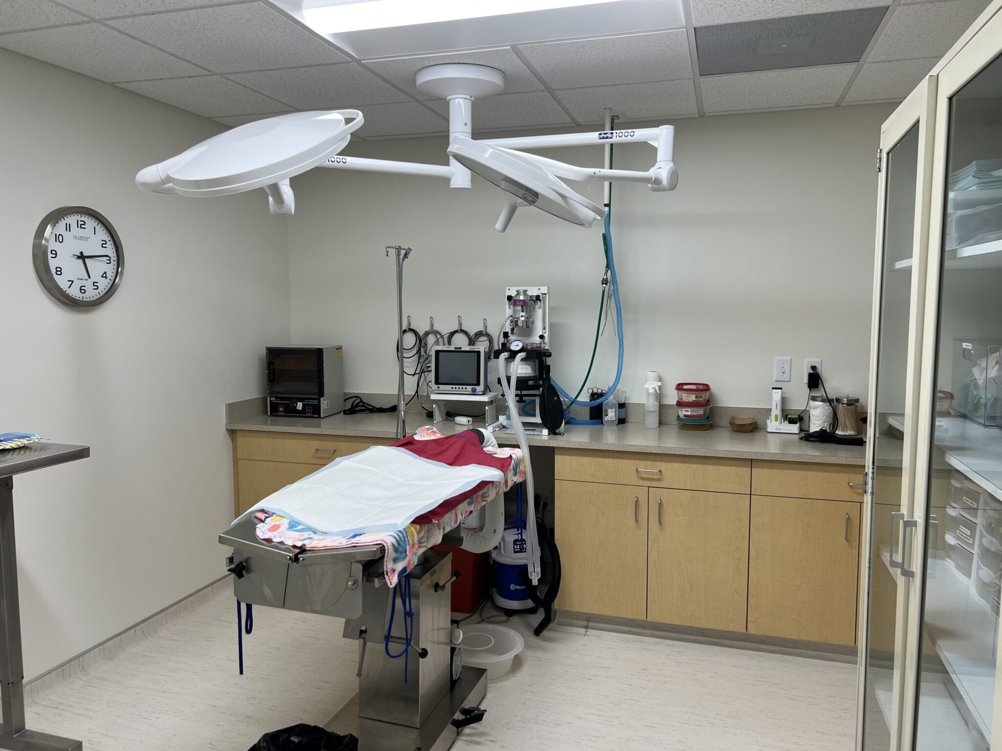 veterinary surgery room at bay area pet hospital