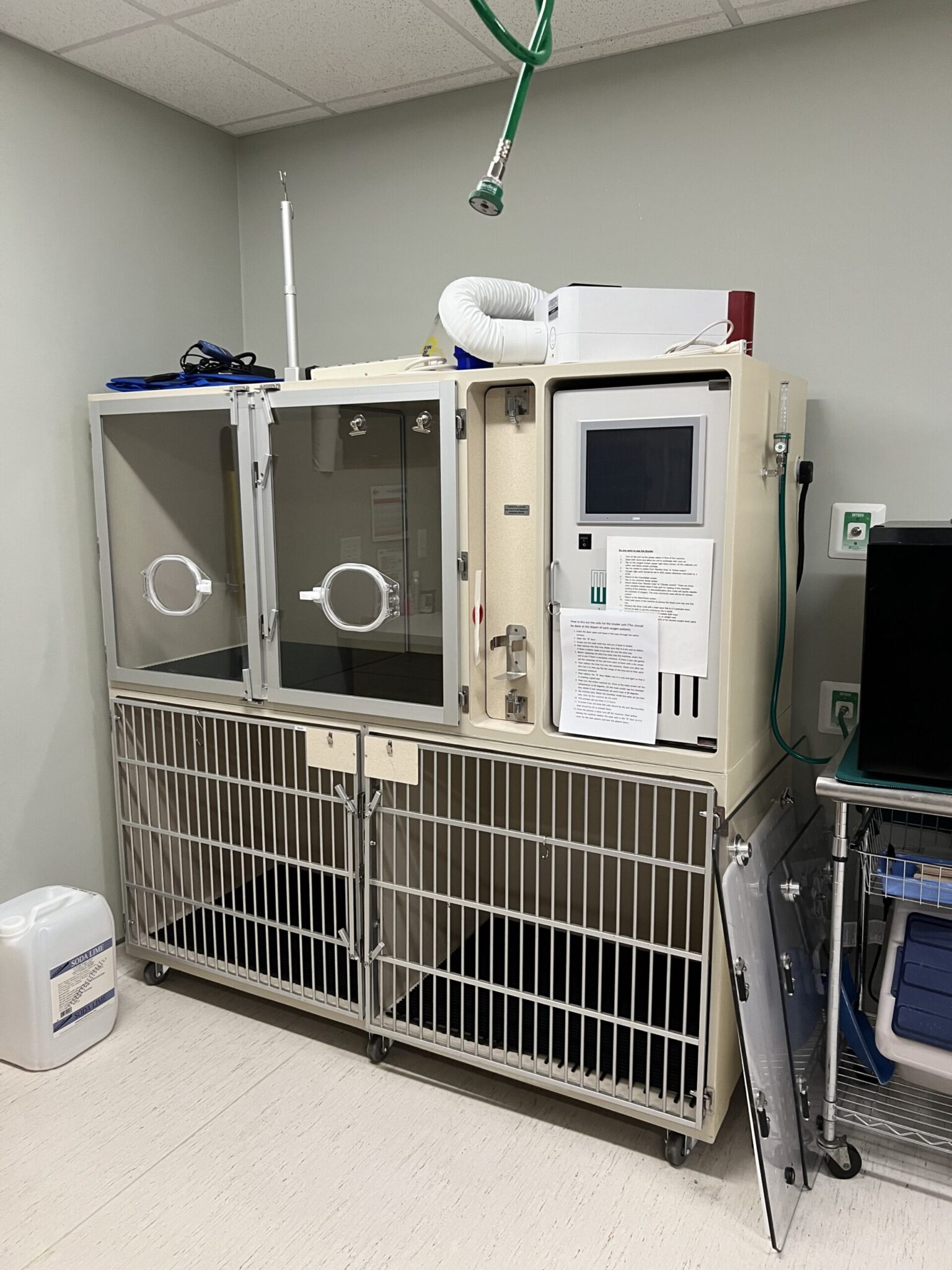 intensive care unit room with oxygen chamber at bay area pet hospital
