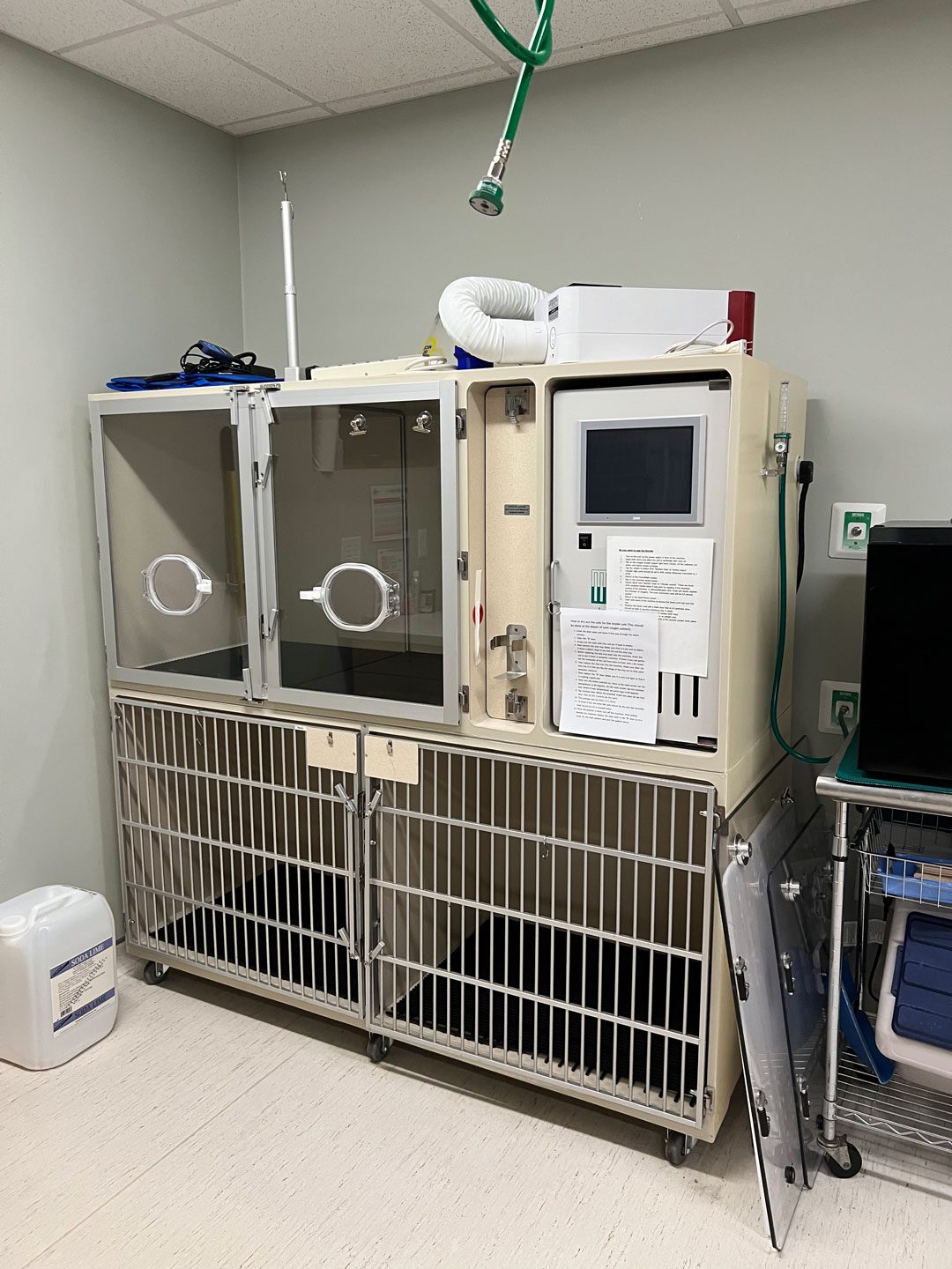 intensive care unit room with oxygen chamber at bay area pet hospital