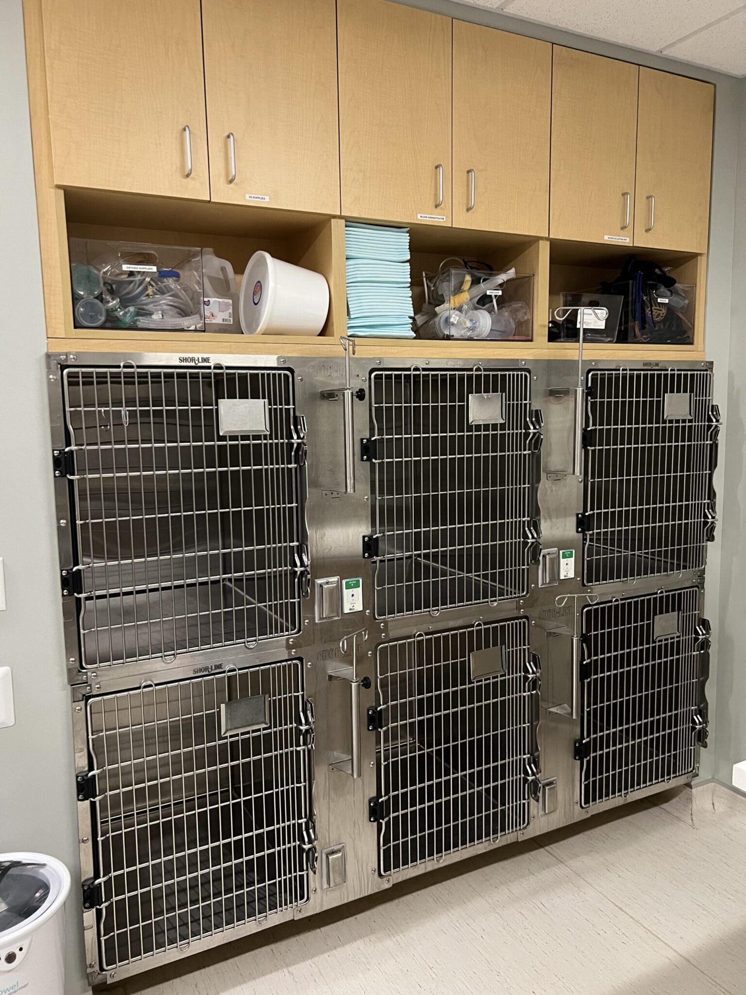 kennels in cat ward of bay area pet hospital