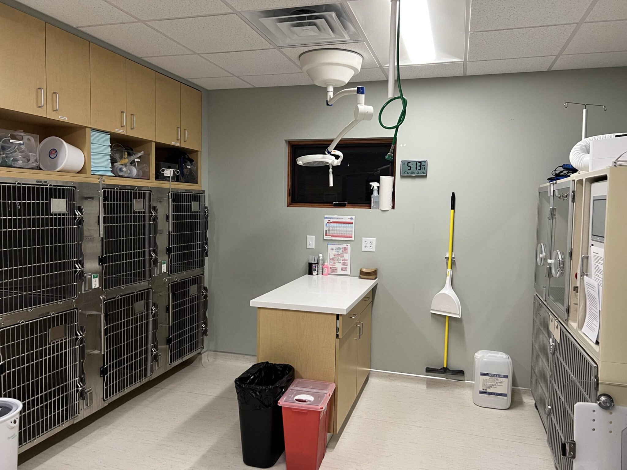 examination table in cat ward of bay area pet hospital