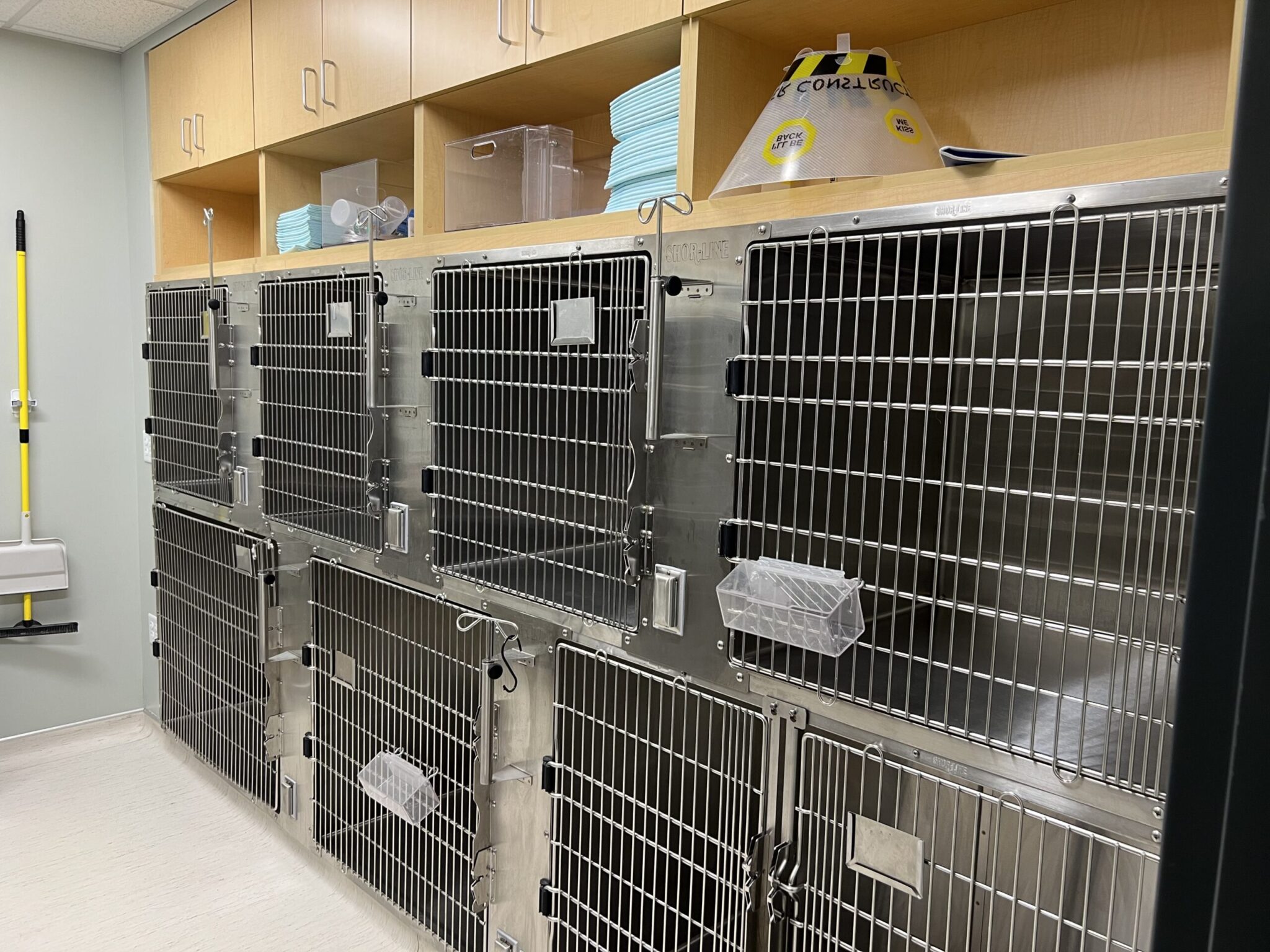 kennels for dogs and cats at bay area pet hospital