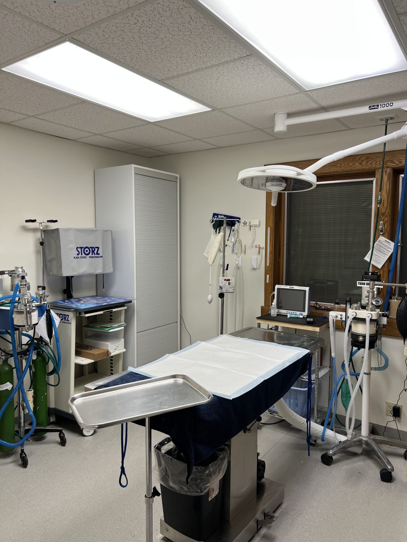 room for endoscopy at bay area pet hospital