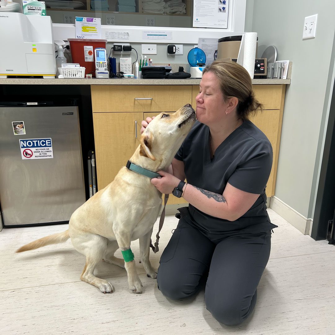 dog licking woman's face