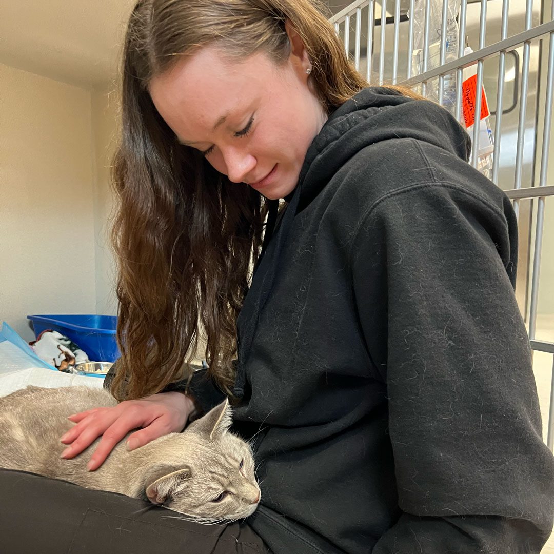 young female veterinary technician sitting on the floor with cat laying in her lap
