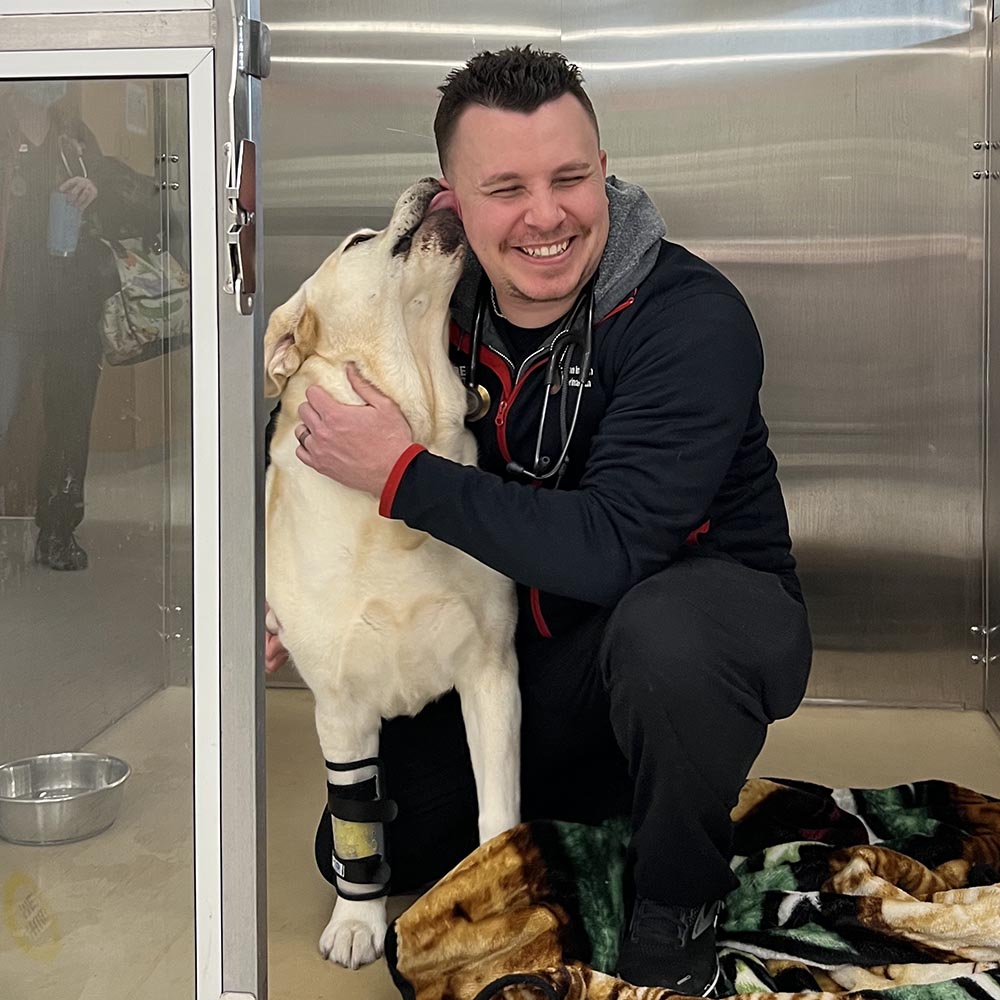 white lab giving Dr. Inman kisses