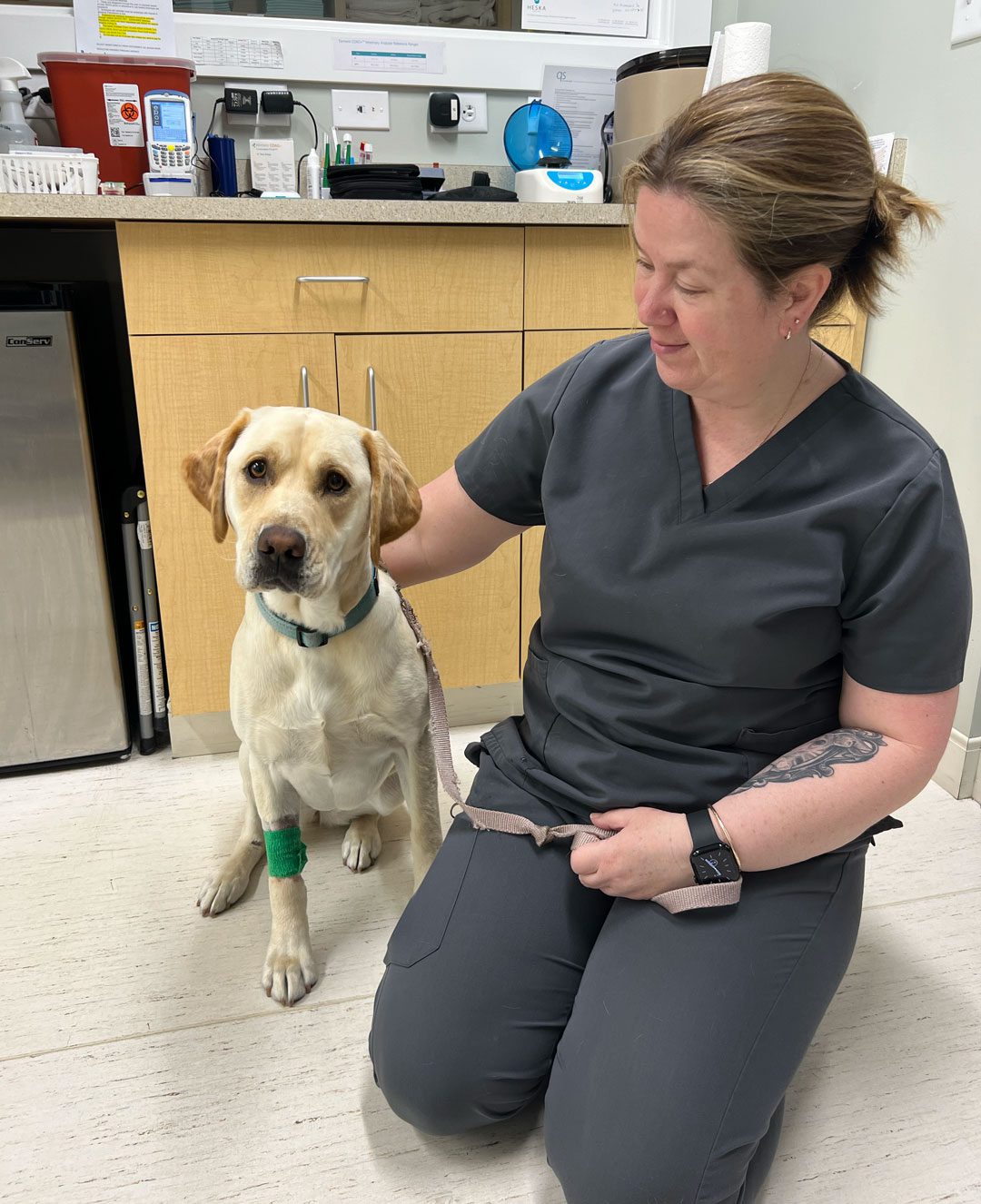 woman kneeling on the ground next to labrador retriever
