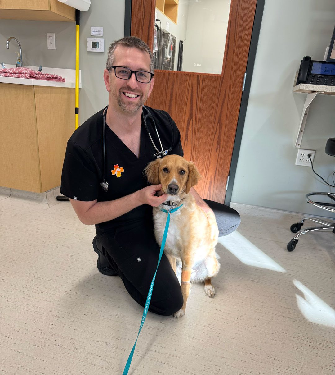 male veterinarian kneeling on ground next to dog