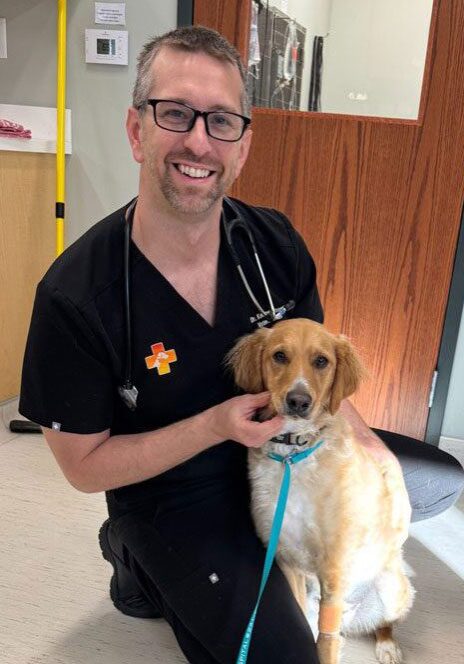 Vet Kneeling With Dog vet kneeling on the floor with a dog